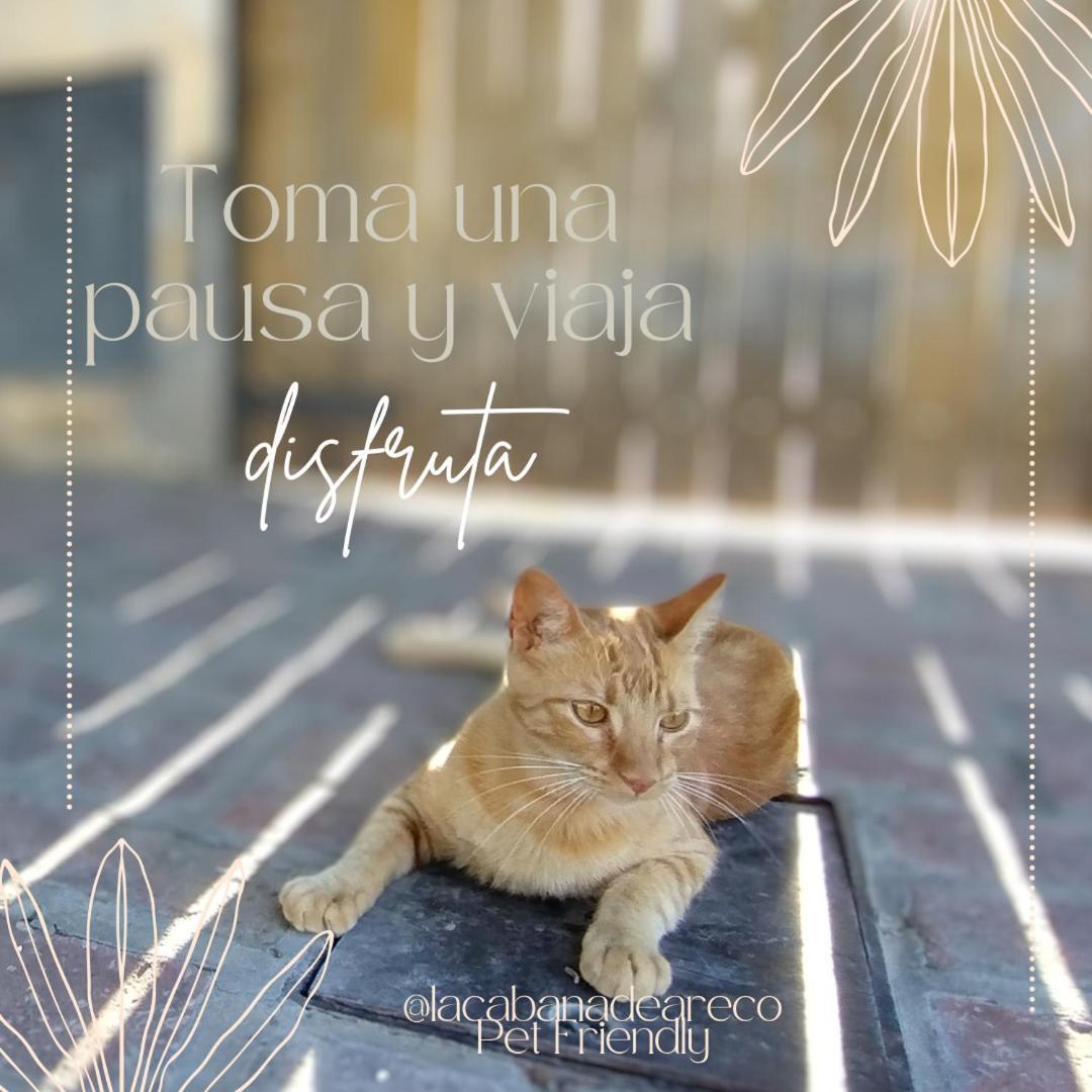 La Cabana